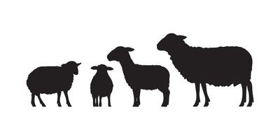 An Array of Distinctive Black Silhouettes Illustrating a Group of Sheep in Diverse Stances and Sizes vector
