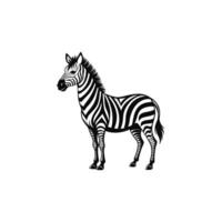 Wild Elegance The Art of Zebra Design in Minimalist Style vector