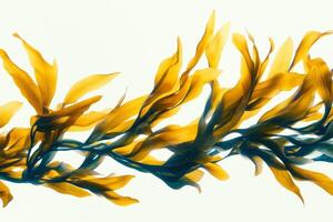 Bright yellow seaweed floating gracefully in clear water photo