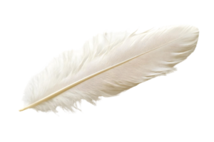 White Feather, Isolated on Transparent Background png