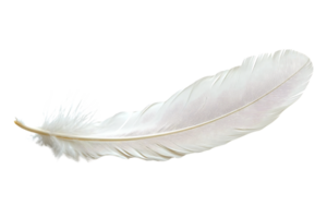 White Feather floats Gently on Black Background, Ideal for Design Projects. png