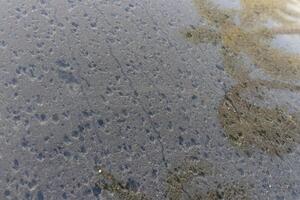 Dust on windshield of car with reflection tree and some spot of raindrop on surface. photo