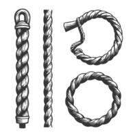 set of rope elements isolated on white background vector