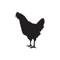 silhouette chicken monochrome color vector