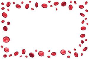 Frame of red blood cells on a white background vector