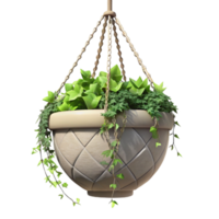 dramatic minimalist Hanging Planter with Ivy Cutout Trailing Vines authentic png