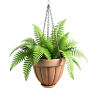 wonderful rustic Hanging Planter with Ferns Cutout Green Fronds genuine png