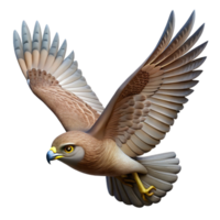 serene creative Hawk Flying in Circles Isolated Element high resolution png