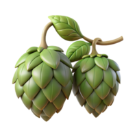 wonderful traditional Hops Cones on Vine Isolated Element exclusive png