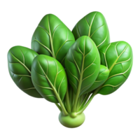 vibrant minimalist Hydroponic Spinach Freshly Harvested Transparent Background high resolution png