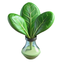 dramatic modern Hydroponic Spinach in Nutrient Solution Cutout Image authentic png