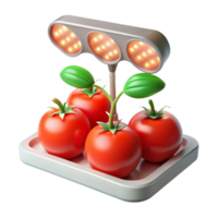 beautiful artistic Hydroponic Tomatoes Growing Under Led Lights Cutout premium png