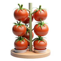 stunning classic Hydroponic Tomatoes Growing Vertically Cutout genuine png