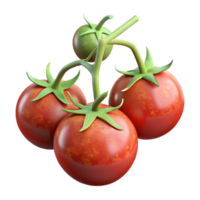 impressive creative Hydroponic Tomatoes Vine Ripening Transparent Background genuine png