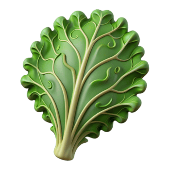 vibrante abstrato couve folha Cortar fora com encaracolado arestas transparente fundo Alto resolução png