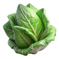 impressive contemporary Lettuce Leaves Close Up Texture Detail Cutout exclusive png