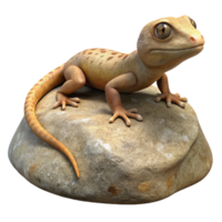 beautiful modern Lizard Sunbathing on Rock Element high quality png