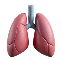 impressive modern Lung Diagram Cutout Element authentic png