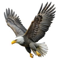 wonderful minimalist Majestic Bald Eagle Soaring Cutout on Transparent Background high resolution png