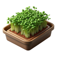 extraordinary creative Microgreens Growing in Tray High Angle Transparent Background premium png