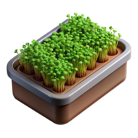 vibrant creative Microgreens Growing Tray Top View Isolated png