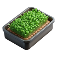 serene rustic Microgreens Growing Tray Top View Isolated professional png