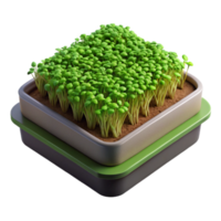 wonderful rustic Microgreens Growing Tray Top View Isolated premium png