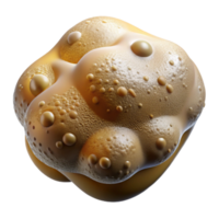 serene classic Microscopic View of Beer Yeast Transparent Background high quality png