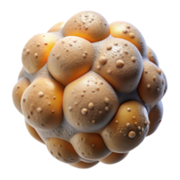 extraordinary vintage Microscopic View of Beer Yeast Transparent Background premium png