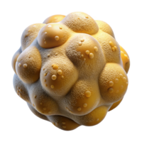 serene contemporary Microscopic View of Beer Yeast Transparent Background exclusive png
