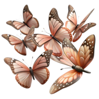 stunning abstract Migrating Butterfly Swarm on White authentic png