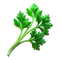 dramatic abstract Parsley Sprig Green Curly Isolated Cutout high resolution png