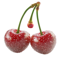Two red cherries covered in tiny water droplets on a thin stem png