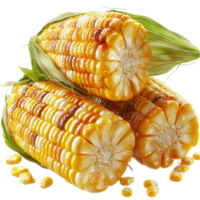 Grilled corn on the cob golden kernels husks partially peeled back png