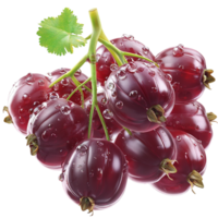 Cluster of ripe red currants covered in tiny water droplets png