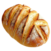 Loaf of ly baked bread a crisp crust deep cuts png