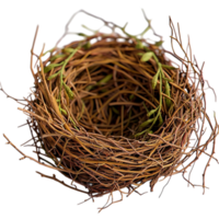 Empty bird nest made of twigs a circular structure png