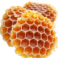 Close up of honeycomb showcasing intricate hexagonal patterns png