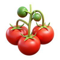 extraordinary modern Red Tomatoes on Vine Hydroponic System Cutout genuine png