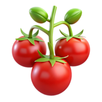 wonderful traditional Red Tomatoes on Vine Hydroponic System Cutout genuine png