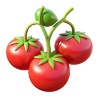 stunning classic Red Tomatoes on Vine Hydroponic System Cutout high resolution png