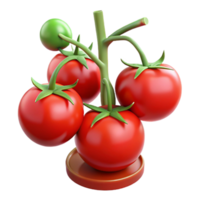 wonderful artistic Red Tomatoes on Vine Hydroponic System Cutout professional png