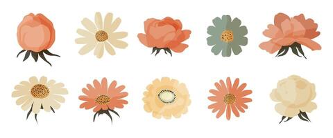 A series of flower illustrations with a variety of colors and styles. The flowers are arranged in a row, with some overlapping each other. Scene is cheerful and colorful vector