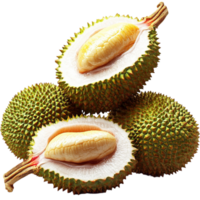 Pair of durian fruits sharp spiky shells creamy flesh png