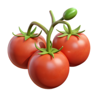 impressive traditional Ripe Tomatoes on Vine Cutout premium png