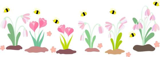 Pink flowers on a isolate background with a soft and elegant look. Bees gently circle the flowers. First of Spring time concept. vector