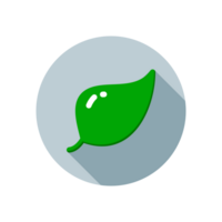 Design Illustration graphic of leaf icon with flat style. Suitable for UI, mobile design, web design, etc. Transparent background. png