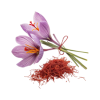 Saffron on transparent background png