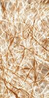 Abstract Interwoven Fibers in Dynamic Light Patterns for Modern Art Book Covers and Backgrounds photo
