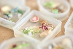 Close up of decorative resin casts with seashells and colorful elements in square molds. photo